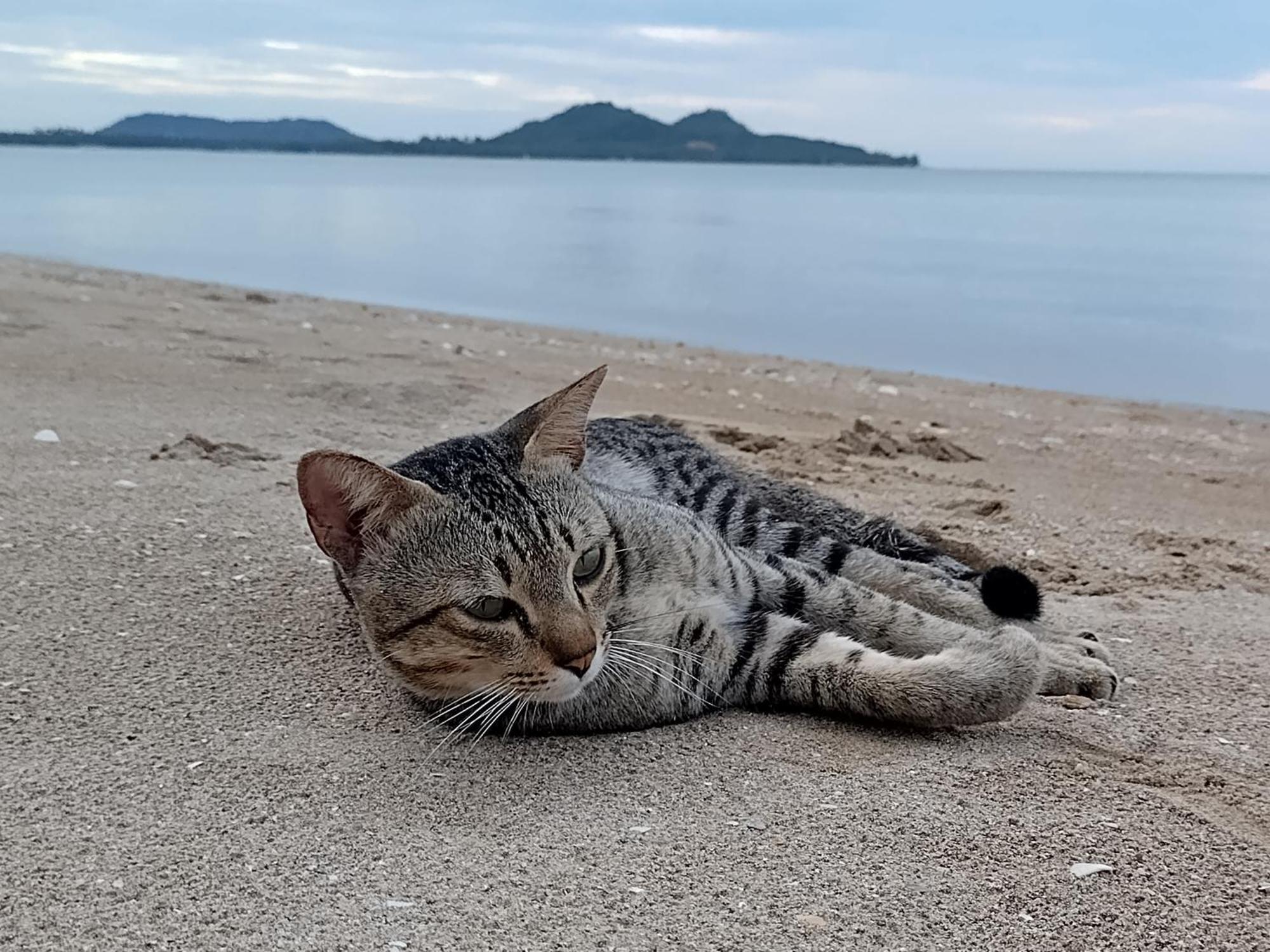 Hotel Ban Tawansongfa Lang Suan Esterno foto